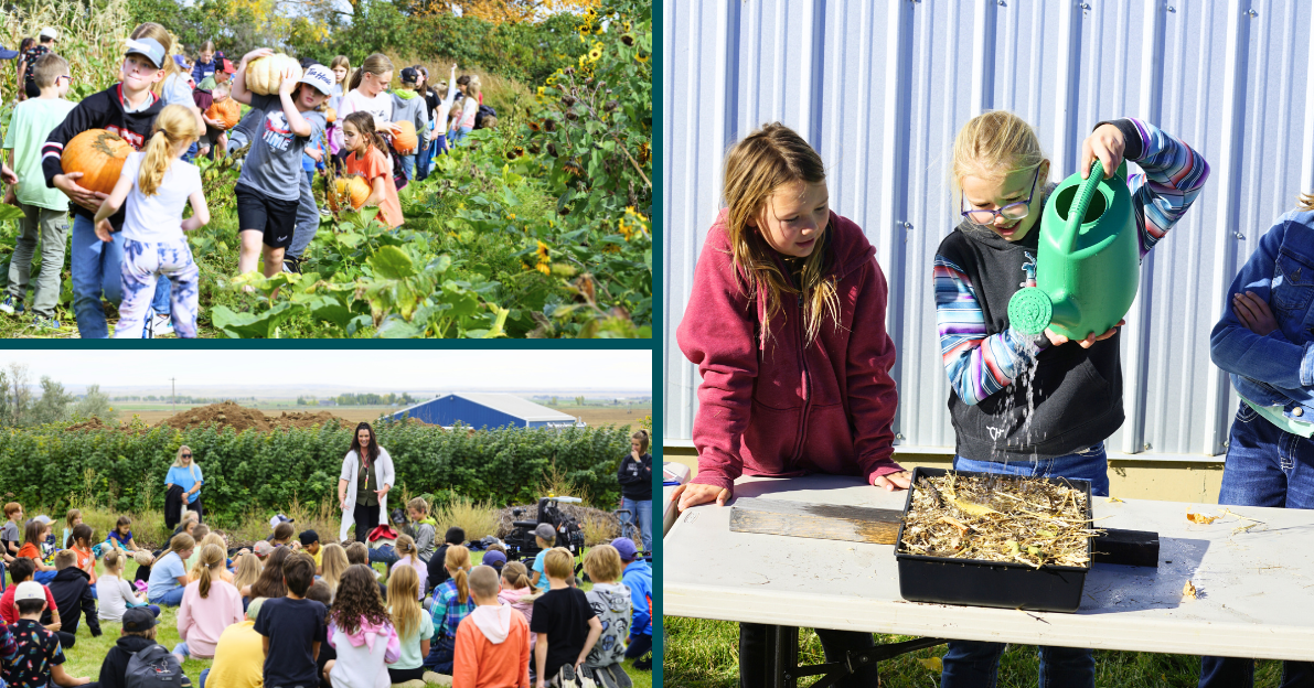 Cross School Project 1 NEWS