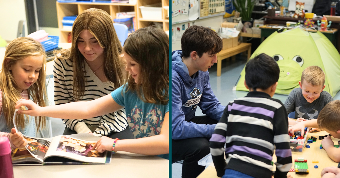 PJHS Work Experience NEWS